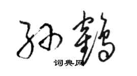 骆恒光孙鹤草书个性签名怎么写