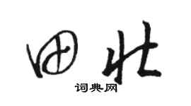 骆恒光田壮草书个性签名怎么写