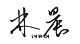 骆恒光林晨草书个性签名怎么写
