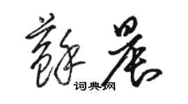 骆恒光苏晨草书个性签名怎么写