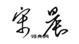 骆恒光宋晨草书个性签名怎么写