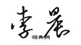 骆恒光李晨草书个性签名怎么写