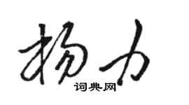 骆恒光杨力草书个性签名怎么写