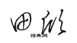 骆恒光田欣草书个性签名怎么写