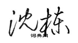 骆恒光沈栋草书个性签名怎么写