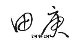 骆恒光田庚草书个性签名怎么写