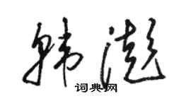 骆恒光韩澎草书个性签名怎么写
