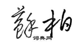 骆恒光苏柏草书个性签名怎么写