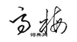骆恒光高梅草书个性签名怎么写