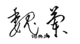 骆恒光魏兰草书个性签名怎么写