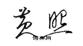 骆恒光黄照草书个性签名怎么写