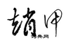 骆恒光赵甲草书个性签名怎么写
