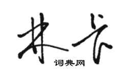 骆恒光林卡草书个性签名怎么写