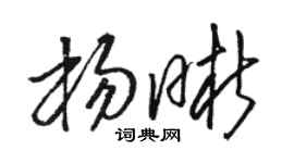 骆恒光杨晰草书个性签名怎么写