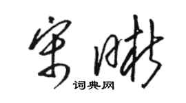 骆恒光宋晰草书个性签名怎么写
