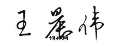 骆恒光王晨伟草书个性签名怎么写