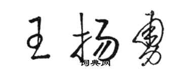 骆恒光王扬勇草书个性签名怎么写
