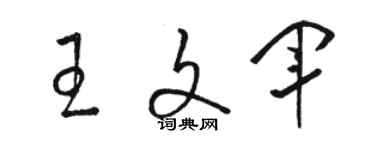 骆恒光王文军草书个性签名怎么写
