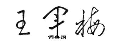 骆恒光王军梅草书个性签名怎么写