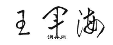 骆恒光王军海草书个性签名怎么写