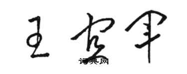 骆恒光王宜军草书个性签名怎么写