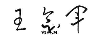 骆恒光王念军草书个性签名怎么写