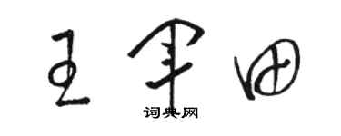 骆恒光王军田草书个性签名怎么写