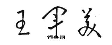 骆恒光王军美草书个性签名怎么写