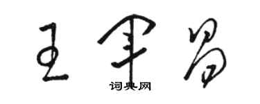 骆恒光王军昌草书个性签名怎么写