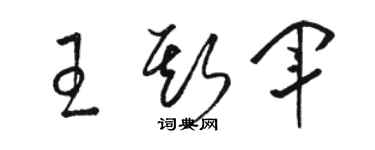 骆恒光王斯军草书个性签名怎么写