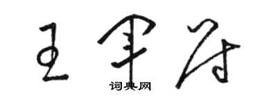 骆恒光王军尉草书个性签名怎么写