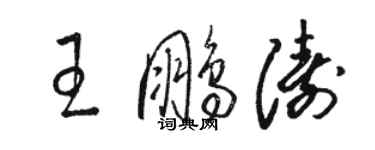 骆恒光王鹏涛草书个性签名怎么写