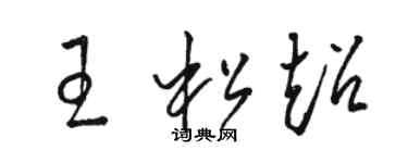 骆恒光王松超草书个性签名怎么写
