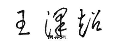 骆恒光王泽超草书个性签名怎么写
