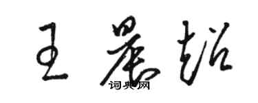 骆恒光王晨超草书个性签名怎么写