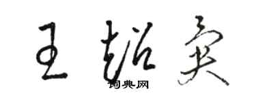骆恒光王超异草书个性签名怎么写