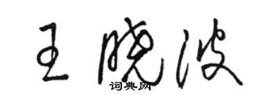 骆恒光王晓波草书个性签名怎么写