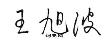 骆恒光王旭波草书个性签名怎么写