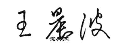 骆恒光王晨波草书个性签名怎么写