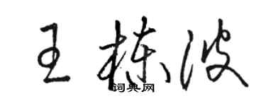 骆恒光王栋波草书个性签名怎么写
