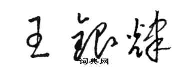骆恒光王银辉草书个性签名怎么写