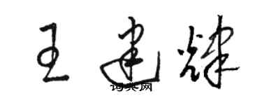 骆恒光王建辉草书个性签名怎么写