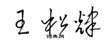 骆恒光王松辉草书个性签名怎么写