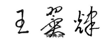 骆恒光王翼辉草书个性签名怎么写