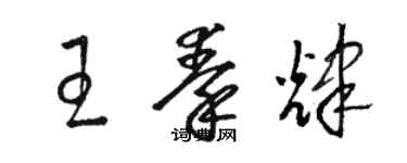 骆恒光王秦辉草书个性签名怎么写