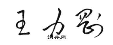 骆恒光王力刚草书个性签名怎么写