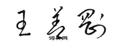 骆恒光王善刚草书个性签名怎么写