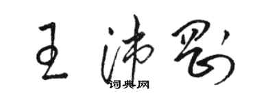 骆恒光王沛刚草书个性签名怎么写