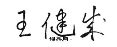 骆恒光王健成草书个性签名怎么写