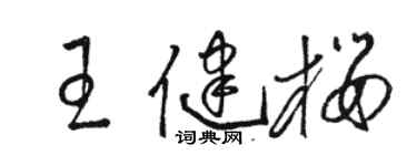 骆恒光王健樱草书个性签名怎么写